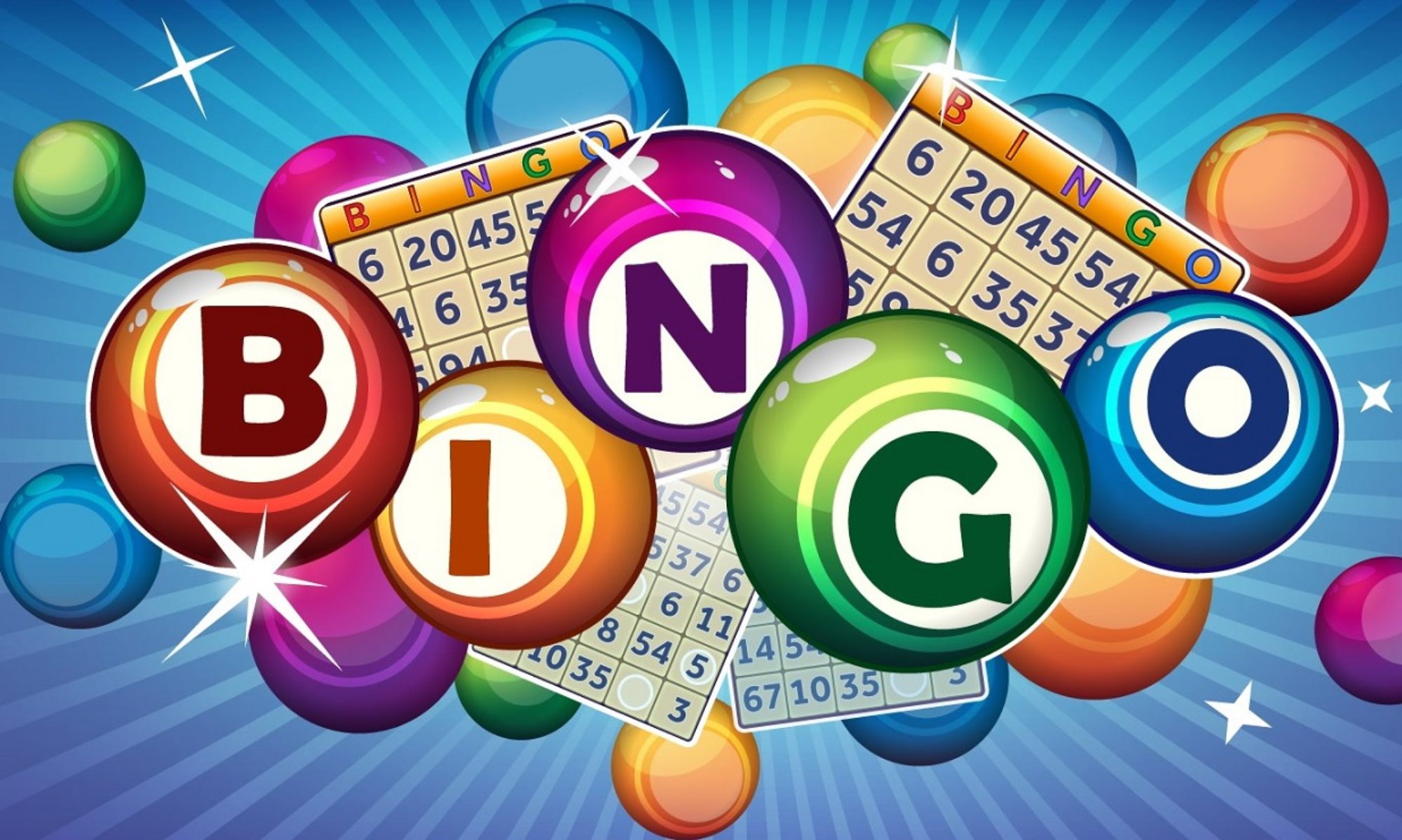 Cropped Bingo Bingo