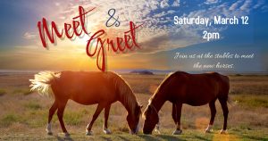 Horse Meet And Greet My Calendar